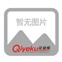 BYQ1系列雙電源開(kāi)關(guān)控制器上海谷穩(wěn)